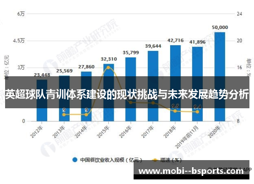 英超球队青训体系建设的现状挑战与未来发展趋势分析 英超球队青训体系建设的现状挑战与未来发展趋势分析