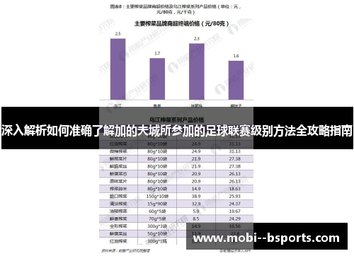 深入解析如何准确了解加的夫城所参加的足球联赛级别方法全攻略指南