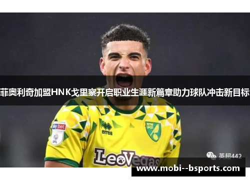 菲奥利奇加盟HNK戈里察开启职业生涯新篇章助力球队冲击新目标 菲奥利奇加盟HNK戈里察开启职业生涯新篇章助力球队冲击新目标