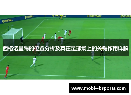 西格诺里踢的位置分析及其在足球场上的关键作用详解