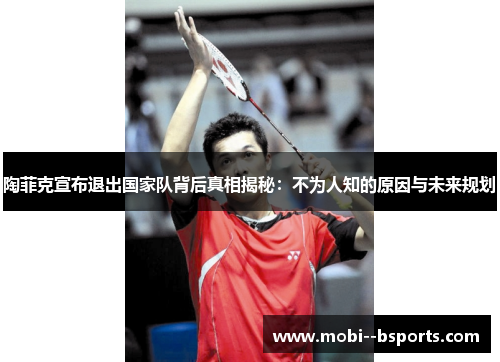 陶菲克宣布退出国家队背后真相揭秘:不为人知的原因与未来规划 陶菲克宣布退出国家队背后真相揭秘:不为人知的原因与未来规划