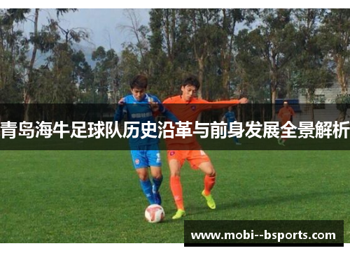青岛海牛足球队历史沿革与前身发展全景解析 青岛海牛足球队历史沿革与前身发展全景解析